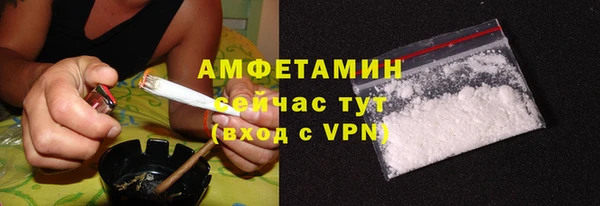 ПСИЛОЦИБИНОВЫЕ ГРИБЫ Няндома