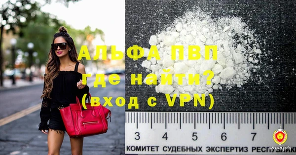 ПСИЛОЦИБИНОВЫЕ ГРИБЫ Няндома