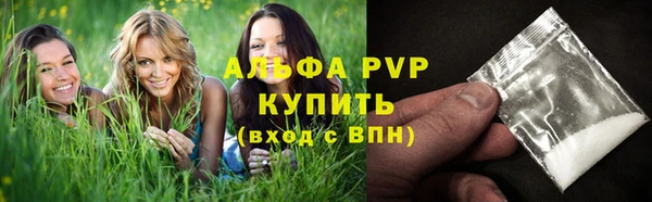 a pvp Новодвинск