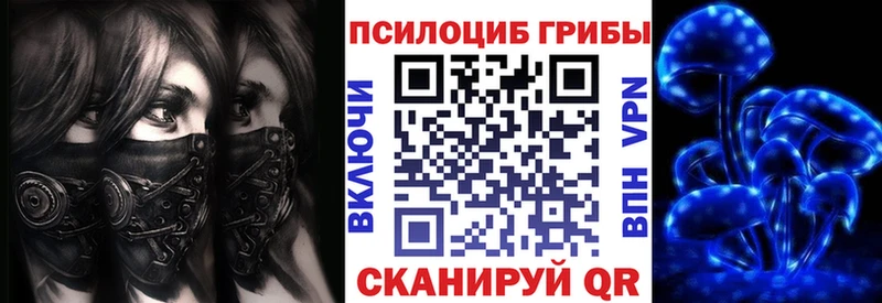 Псилоцибиновые грибы Psilocybe  гидра как зайти  нарко площадка клад  Миньяр 